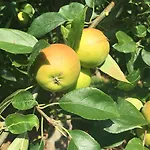 Le Manoir De Benedicte Alojamento de Acomodação e Pequeno-almoço