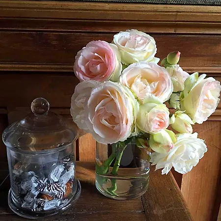 Bed & Breakfast Le Manoir De Benedicte Cahan