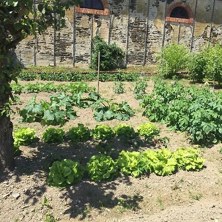 Le Manoir De Benedicte Bed & Breakfast Cahan