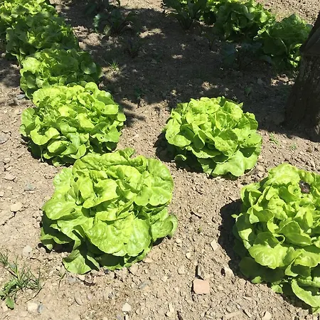 Le Manoir De Benedicte Cahan