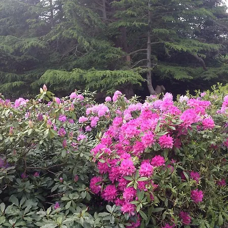 Le Manoir De Benedicte