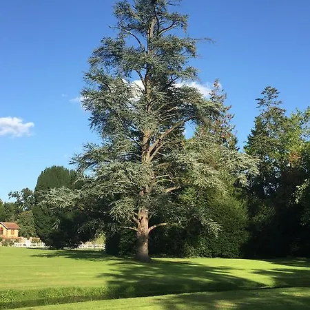 Le Manoir De Bénédicte *