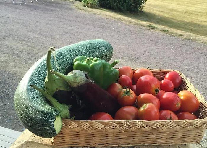 Le Manoir De Bénédicte 3*