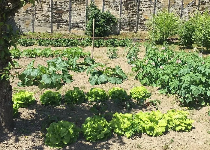 Le Manoir De Bénédicte Bed & Breakfast Cahan