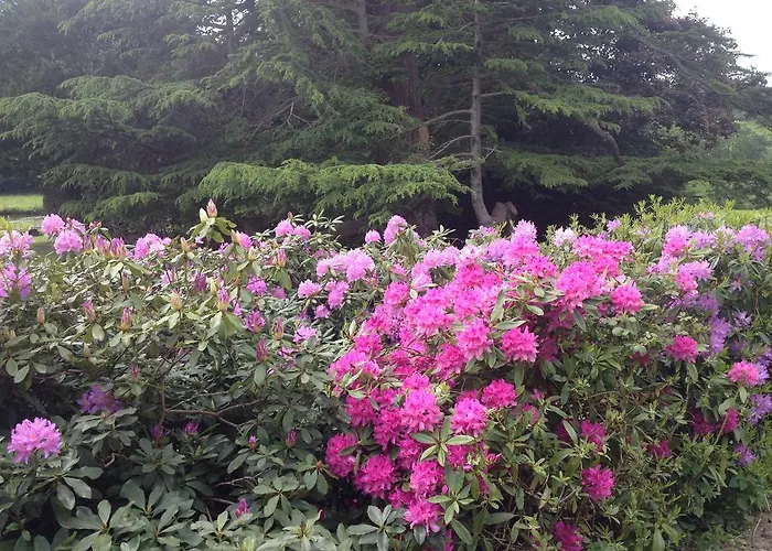 Le Manoir De Benedicte