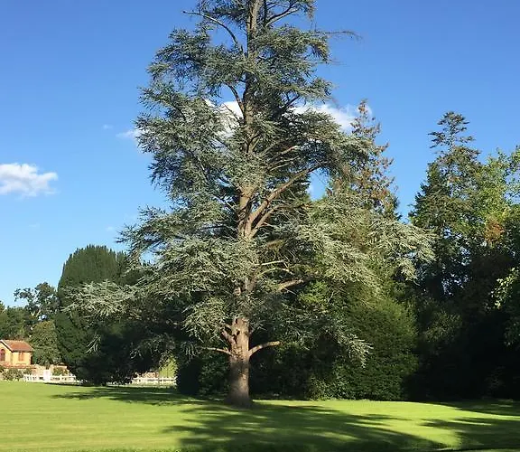 Le Manoir De Bénédicte 3*